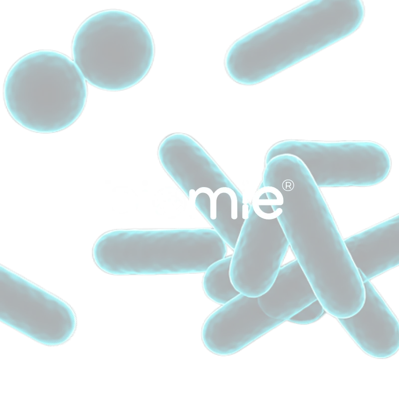Biomie