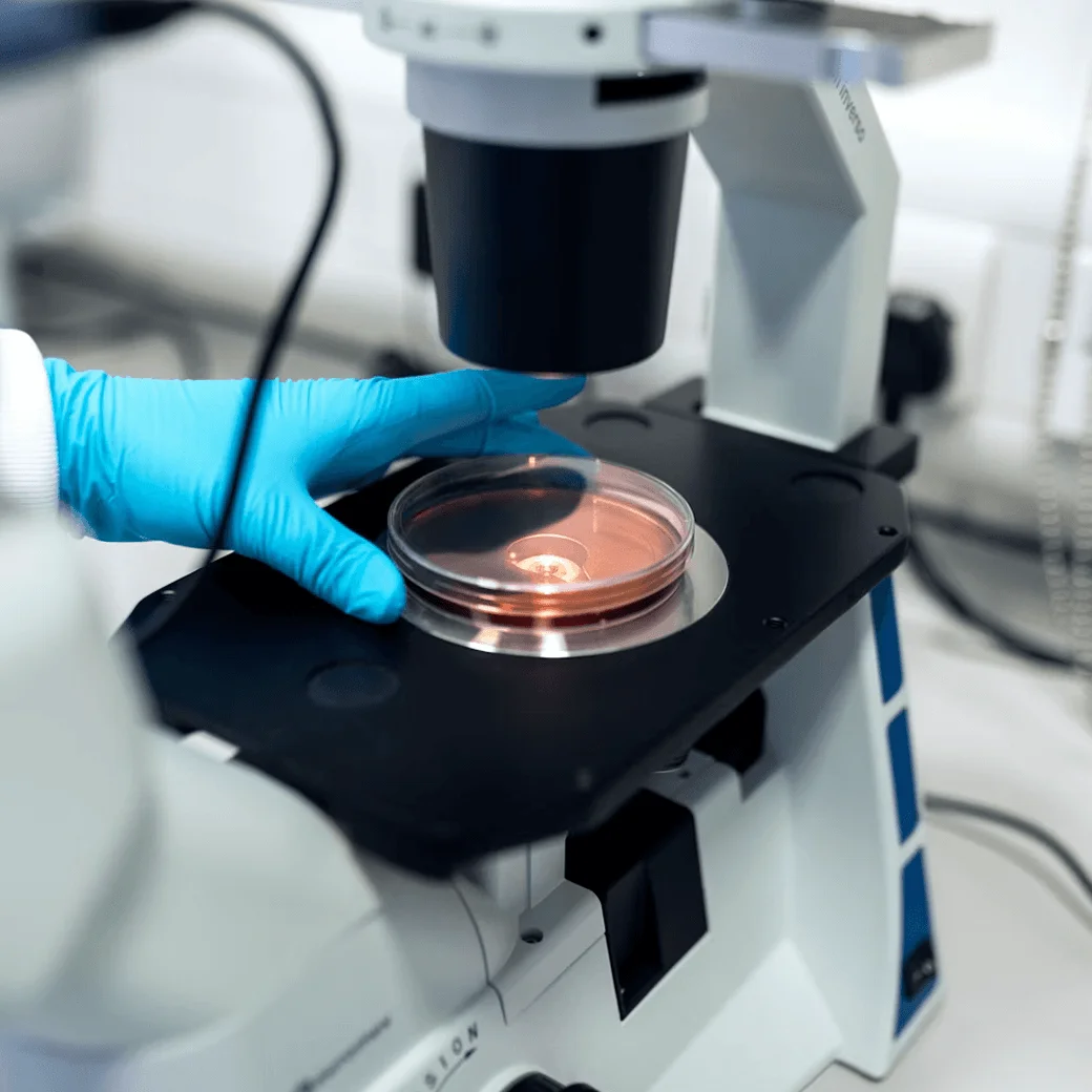 Laboratory microscope